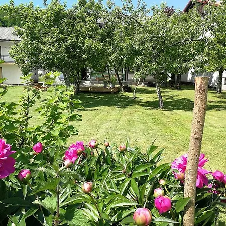 Bandaron 公寓 科巴里德