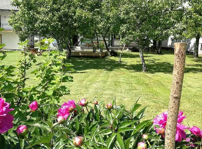 Bandaron Апартаменты Кобарид